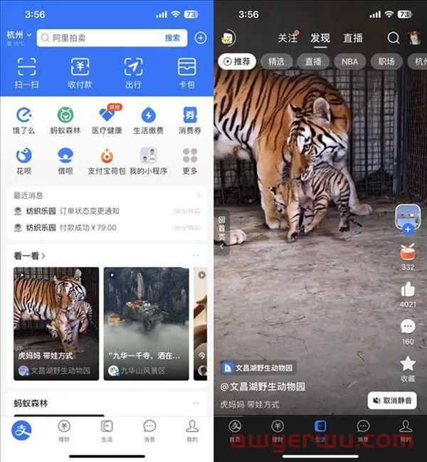 支付宝搞了个小“抖音”，网友：花里胡哨