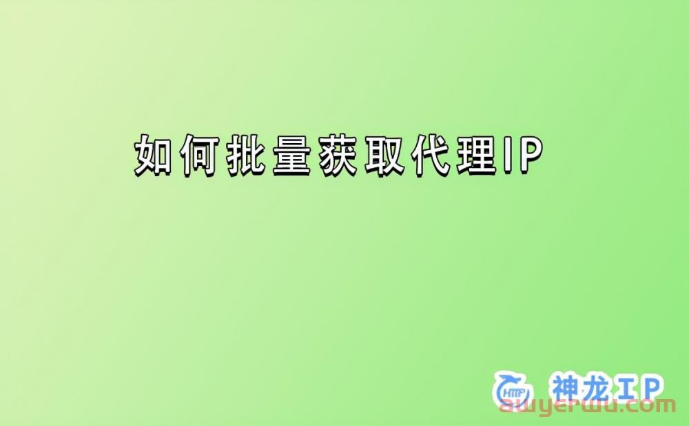 小白必看！海外静态ip和动态ip解析！